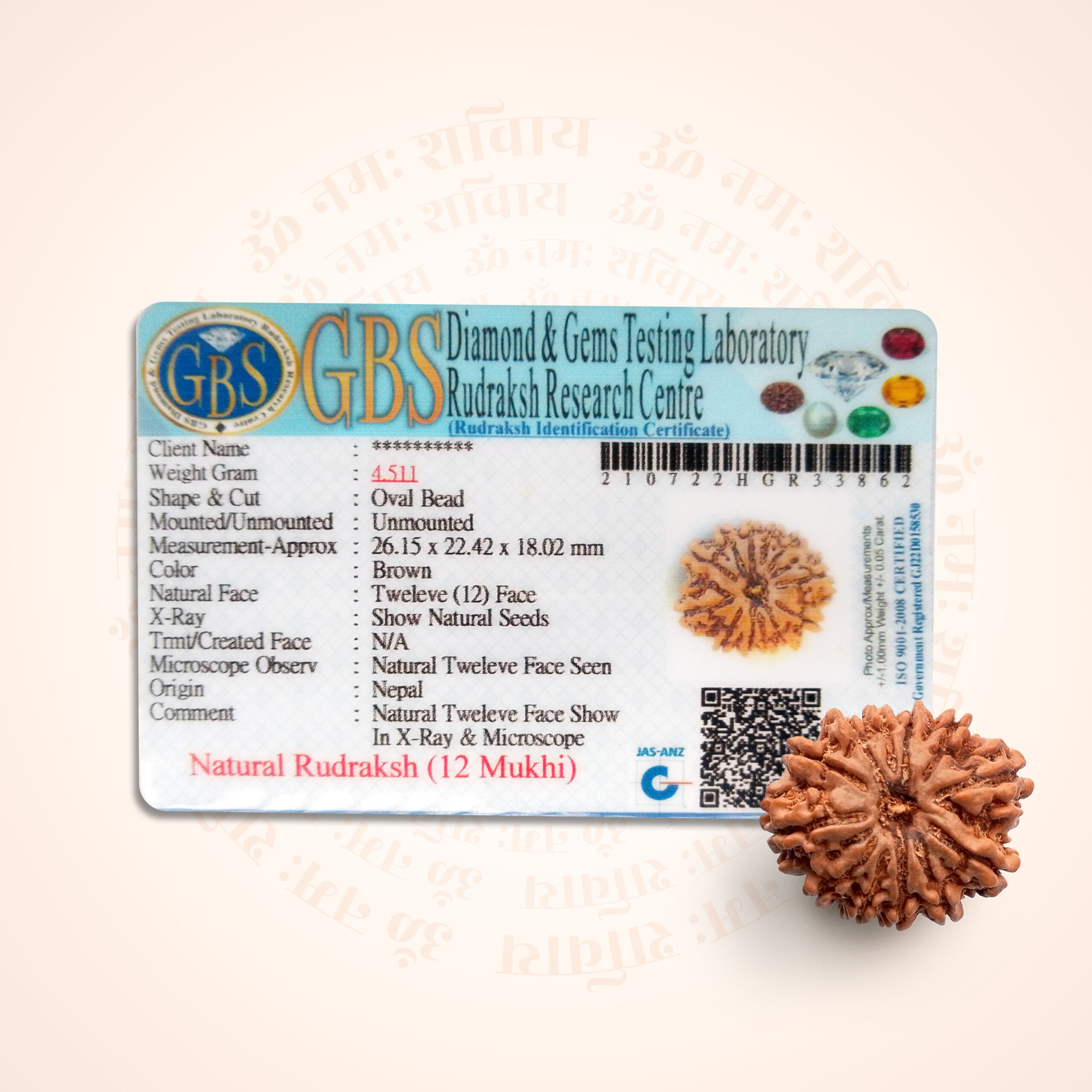 12 Mukhi Rudraksha - Image 2