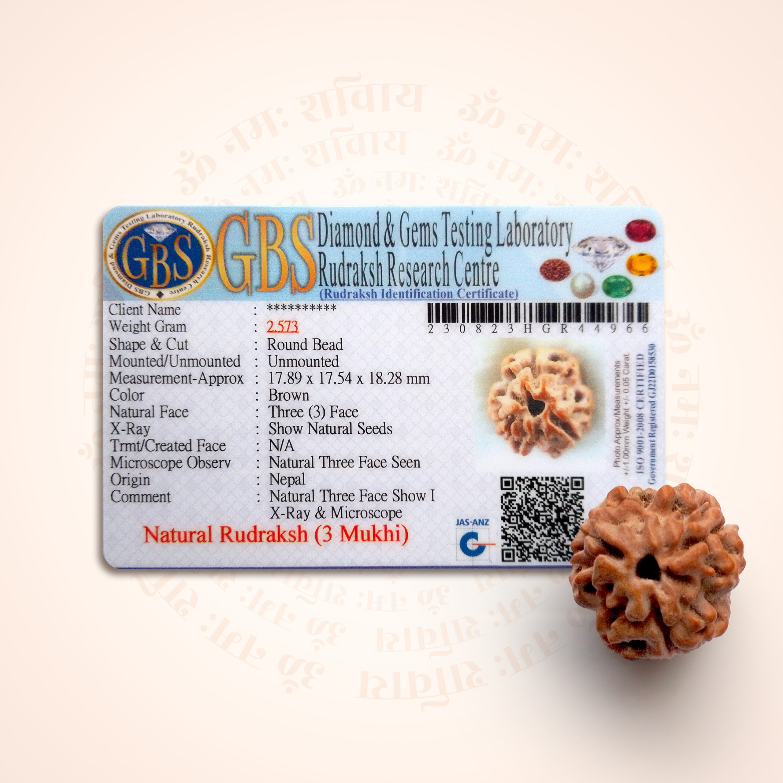 3 Mukhi Rudraksha - Image 2