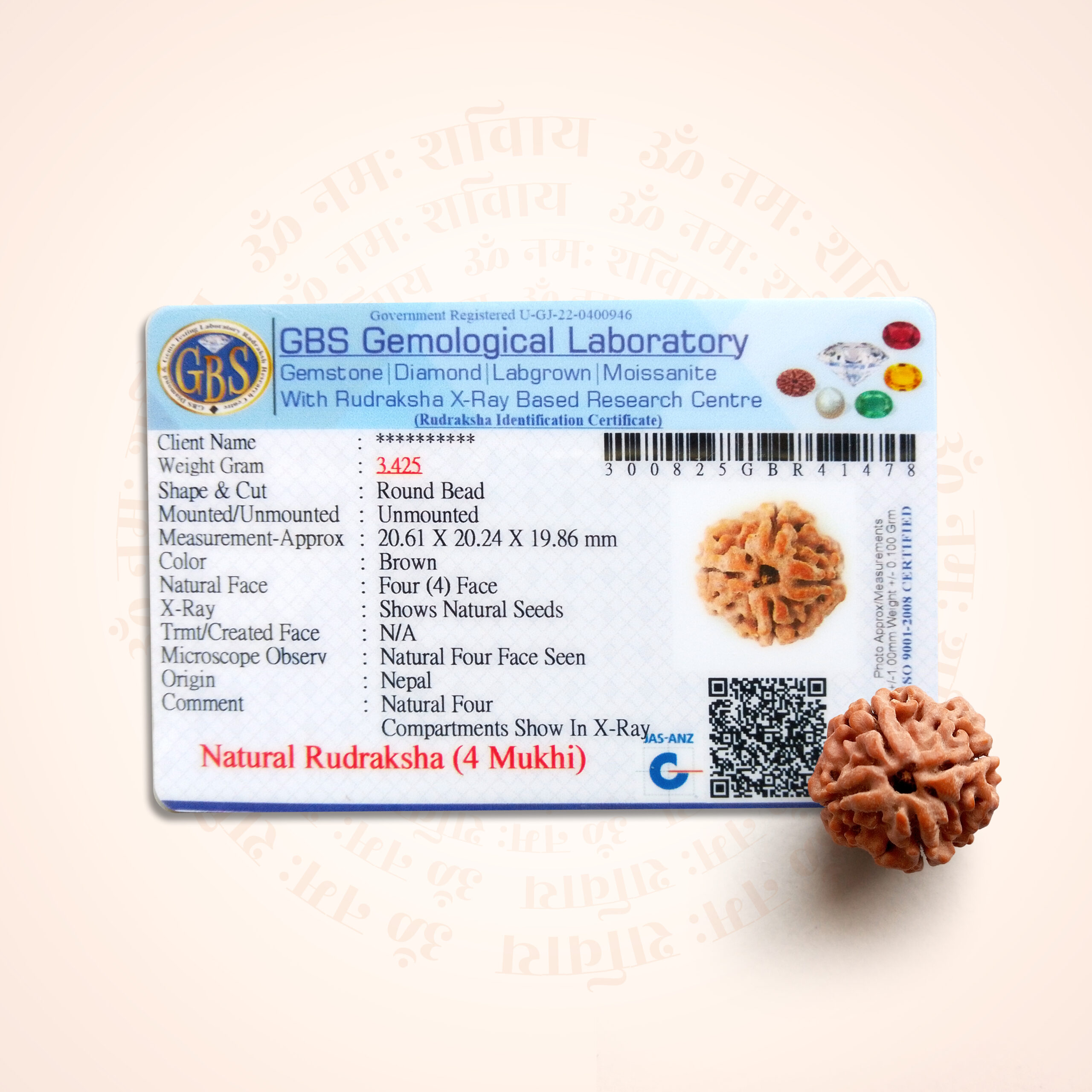 4 Mukhi Rudraksha - Image 2