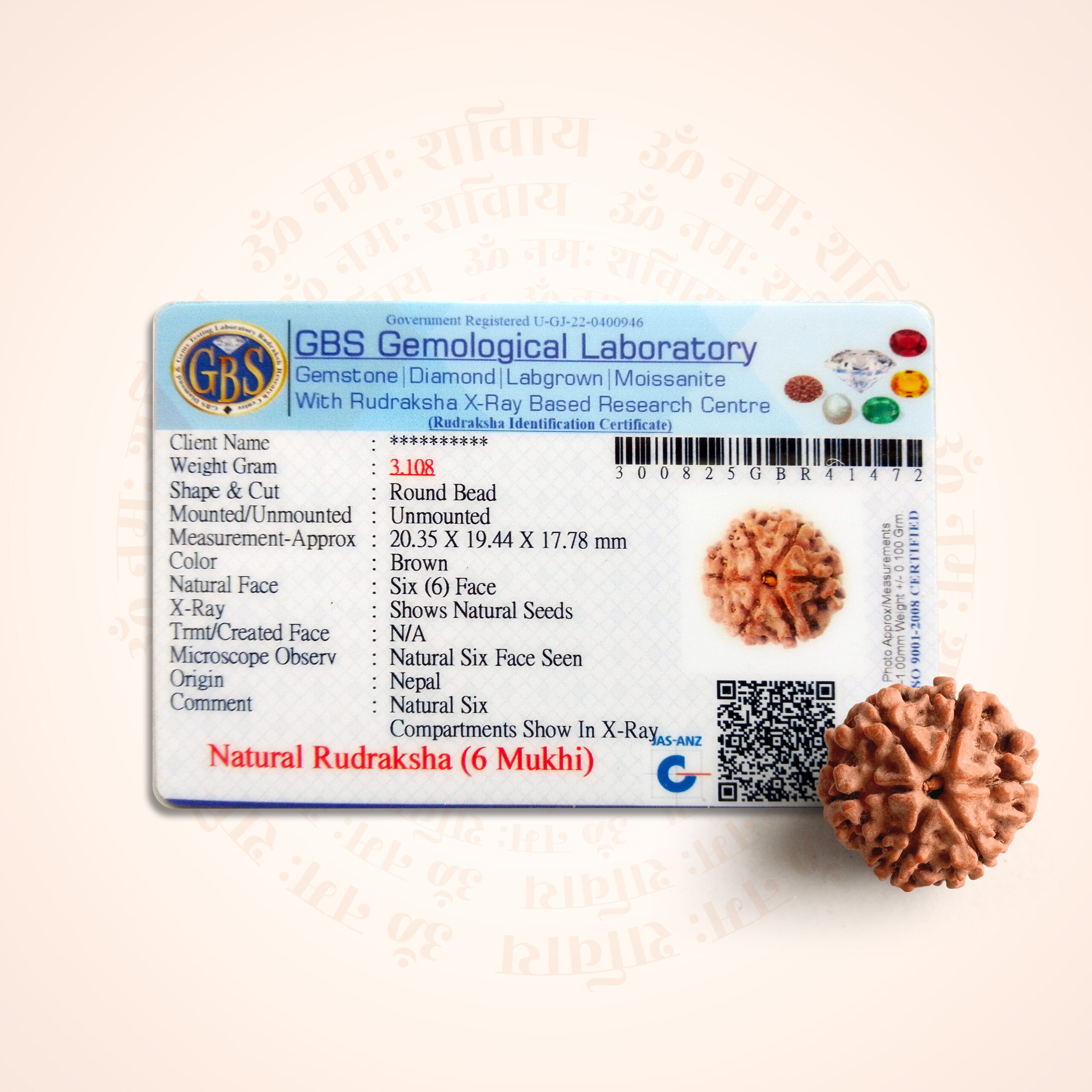 6 Mukhi Rudraksha - Image 2