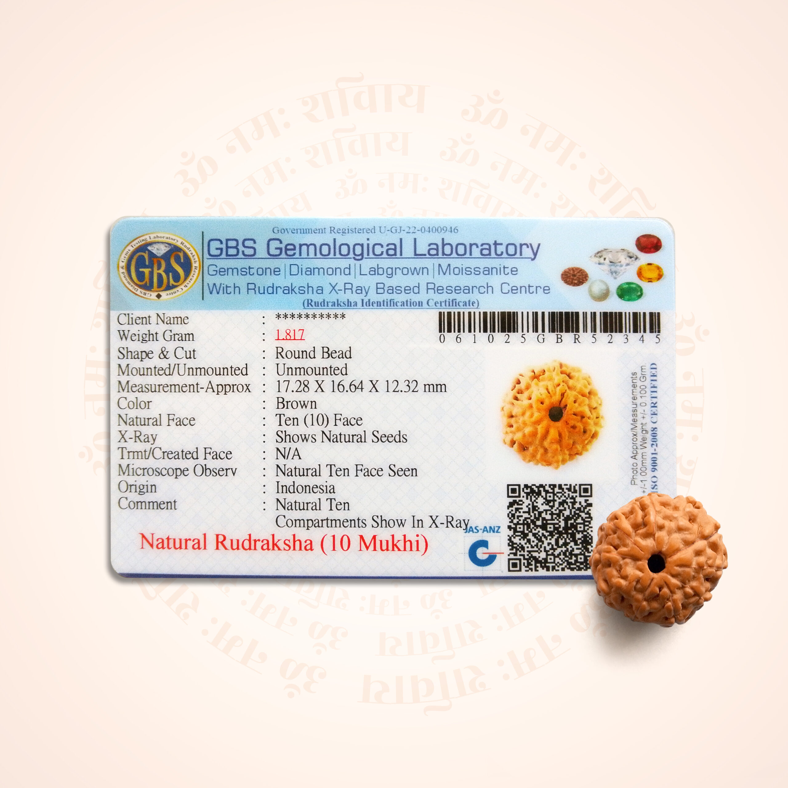 10 Mukhi Rudraksha (Indonesian rudraksha) - Image 2